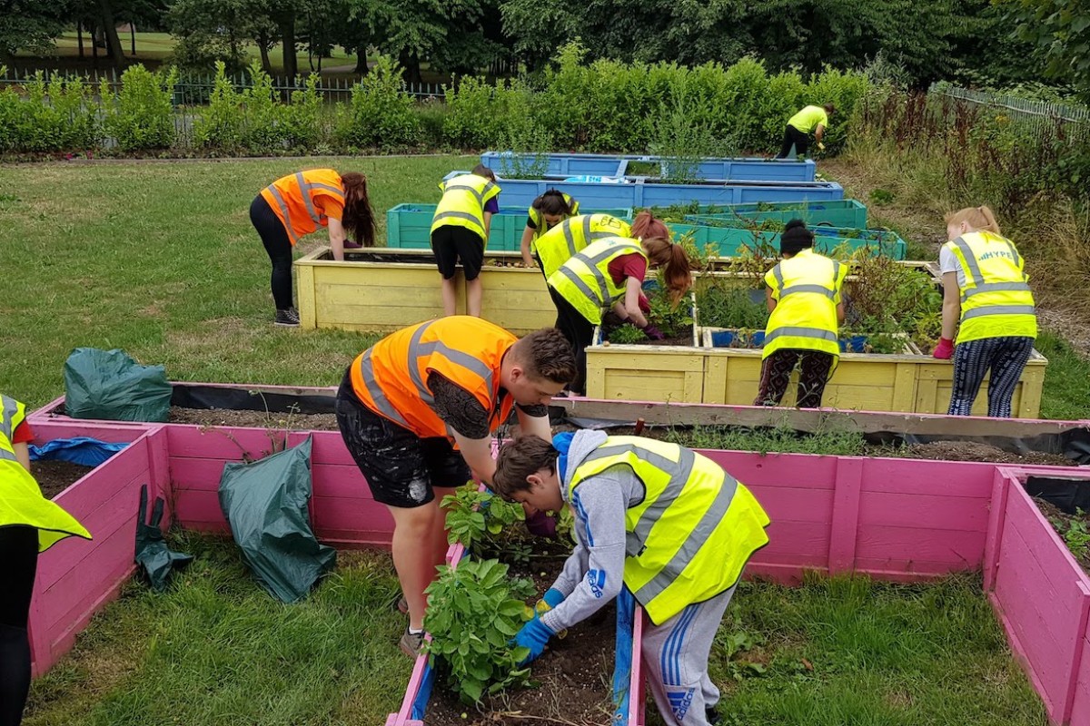 Discover the Vibrant Parks Mission